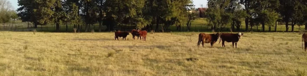 Campo en Uruguay, Maldonado, Solis