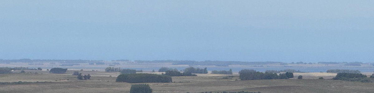 ROCHA Campo con 32 hás a pocos km de la ciudad y de Garzón