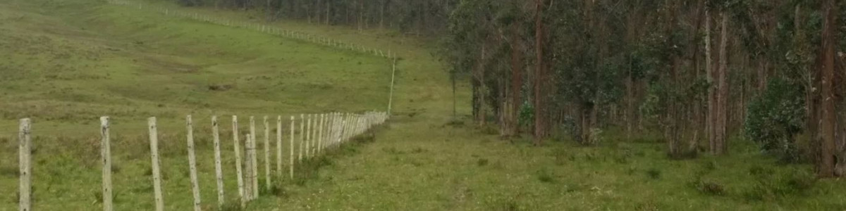 Campo en Uruguay, Rocha