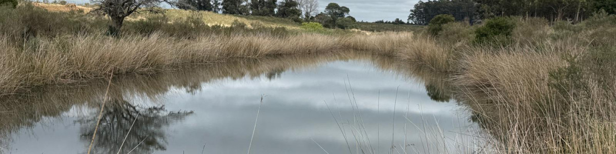 Campo en Uruguay - Maldonado - Cerros Azules Excelente fracción con 90 hás  de buen campo