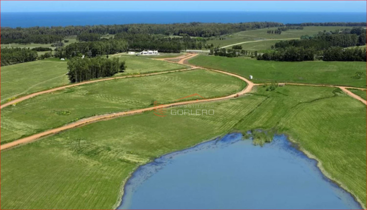 Laguna de los Cisnes - GoPunta - Portal Inmobiliario de Punta del Este - Maldonado