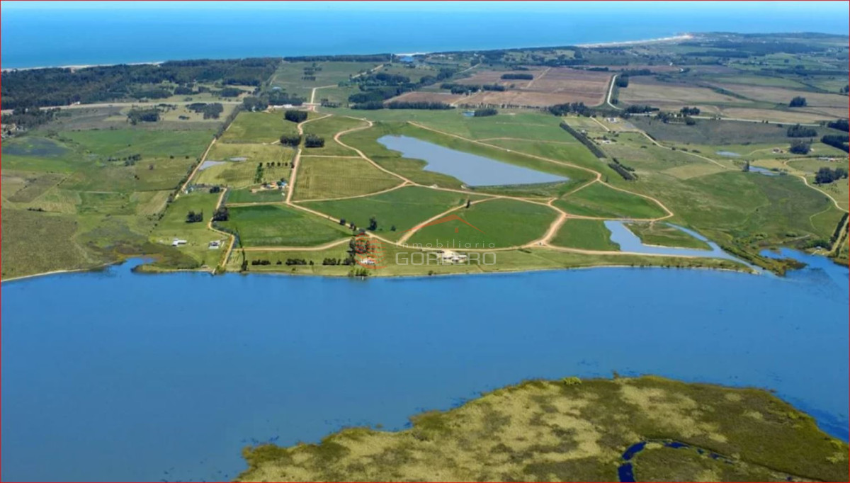 Laguna de los Cisnes - GoPunta - Portal Inmobiliario de Punta del Este - Maldonado