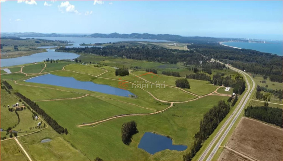 Laguna de los Cisnes - GoPunta - Portal Inmobiliario de Punta del Este - Maldonado