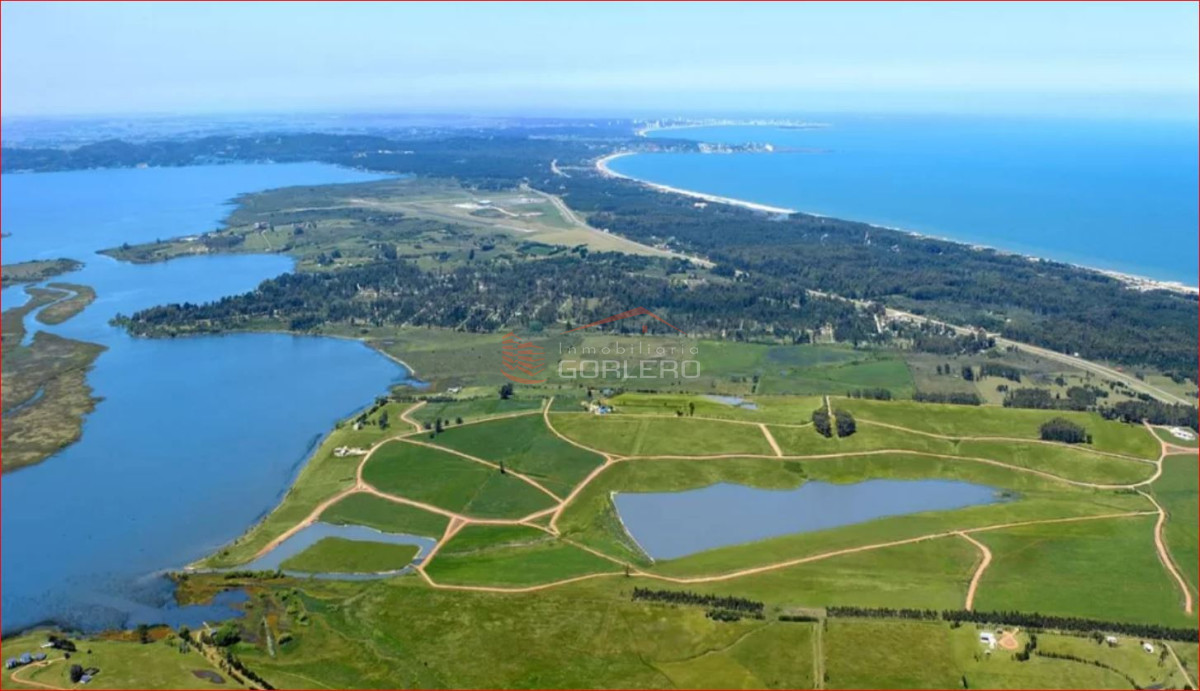Laguna de los Cisnes - GoPunta - Portal Inmobiliario de Punta del Este - Maldonado