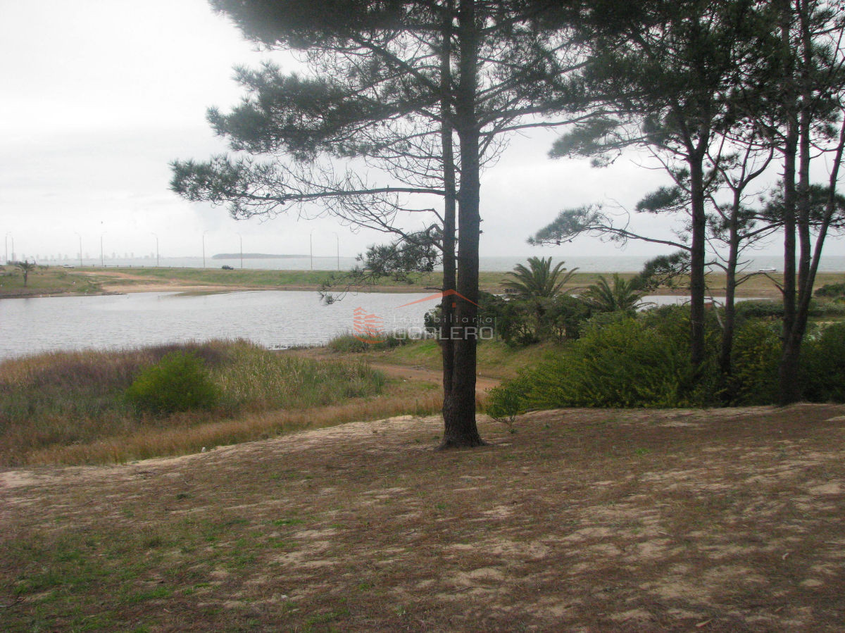 Piedras del Chileno - GoPunta - Portal Inmobiliario de Punta del Este - Maldonado
