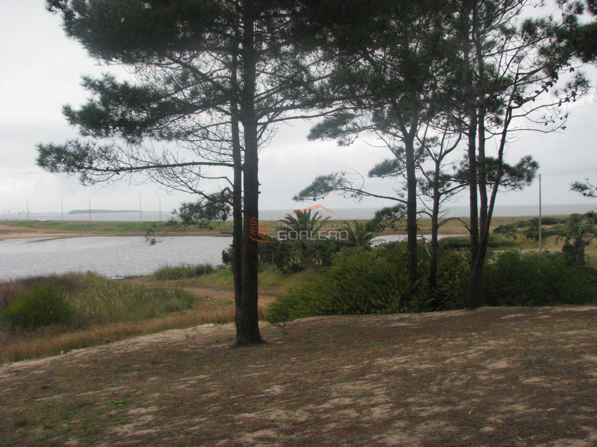 Piedras del Chileno - GoPunta - Portal Inmobiliario de Punta del Este - Maldonado