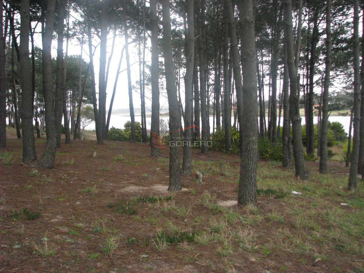 Piedras del Chileno - GoPunta - Portal Inmobiliario de Punta del Este - Maldonado