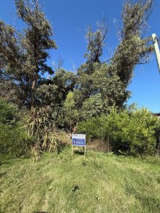 Terreno 420 m2 , en Santa Monica - Jose Ignacio