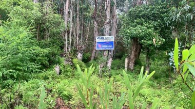 Venta de Terreno en La Pedrera, Rocha