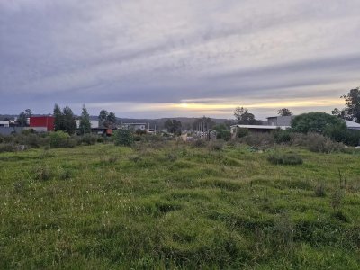  En Lussich terreno de 10.000 m2 con 73 m de frente 