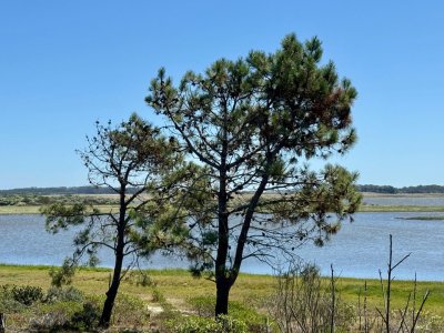 Venta de Terreno a metros del Puente Laguna Garzón con frente a Laguna Garzón 