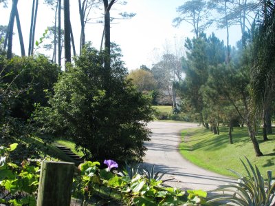 Terreno con casa en Punta del Este, Pinares, Excelente opción!!! Ideal varios emprendimientos