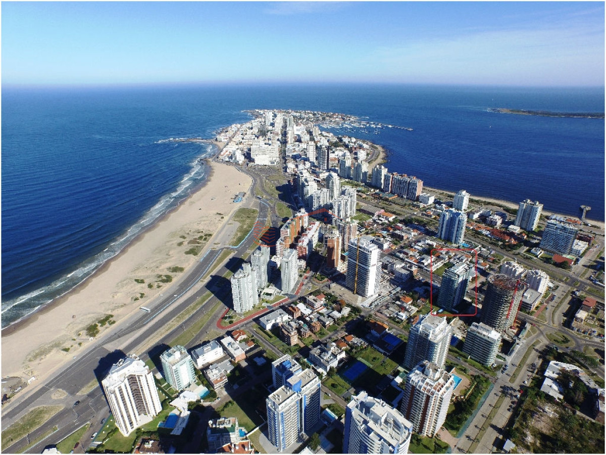 Brava - GoPunta - Portal Inmobiliario de Punta del Este - Maldonado