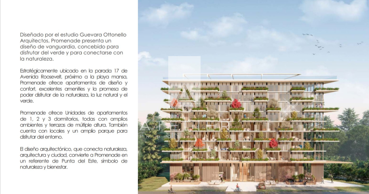 Cantegril - GoPunta - Portal Inmobiliario de Punta del Este - Maldonado