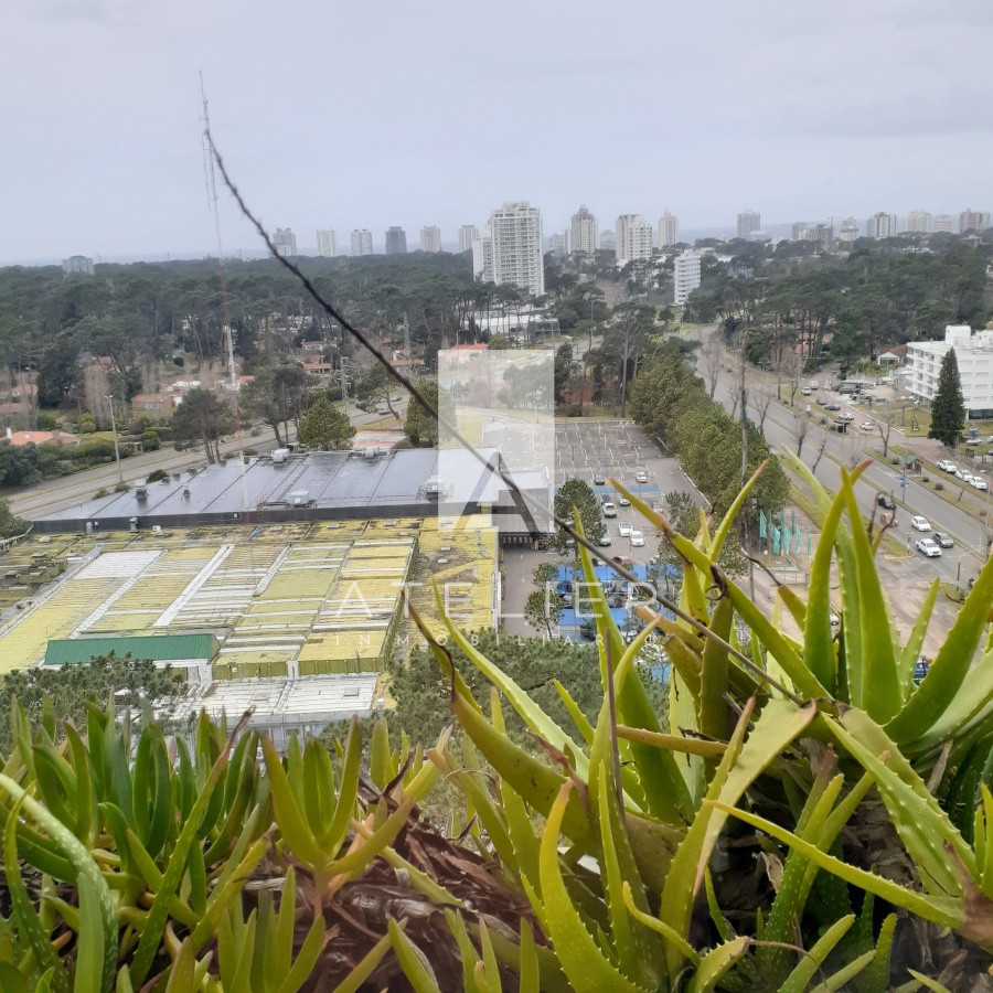 Roosevelt - GoPunta - Portal Inmobiliario de Punta del Este - Maldonado