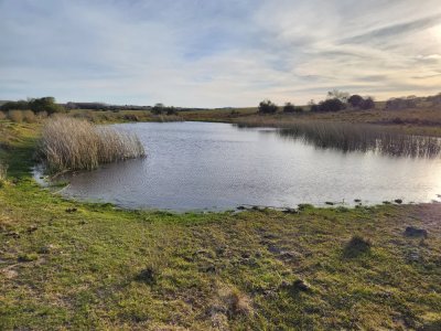 Campo próximo a Garzón 