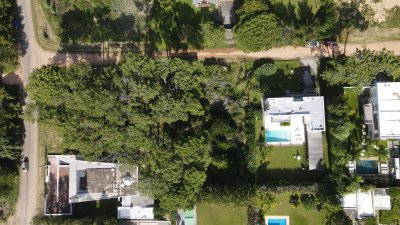 NIRVANA BOSQUE