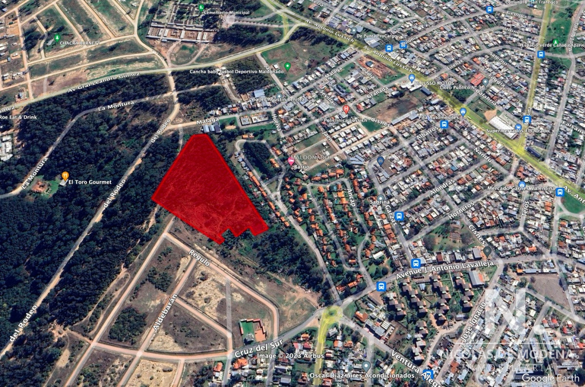 Pinares - GoPunta - Portal Inmobiliario de Punta del Este - Maldonado