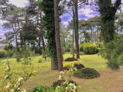 Lote en venta en Playa Brava, Punta del Este