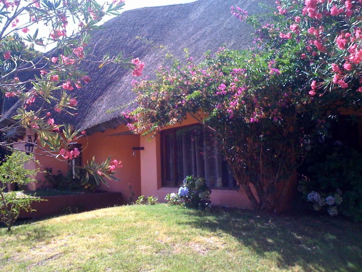 Muy linda casa de 3 dormitorios en La Barra