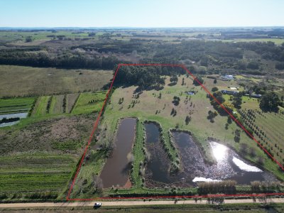Chacra en Venta de 8 hectáreas en Ruta 104