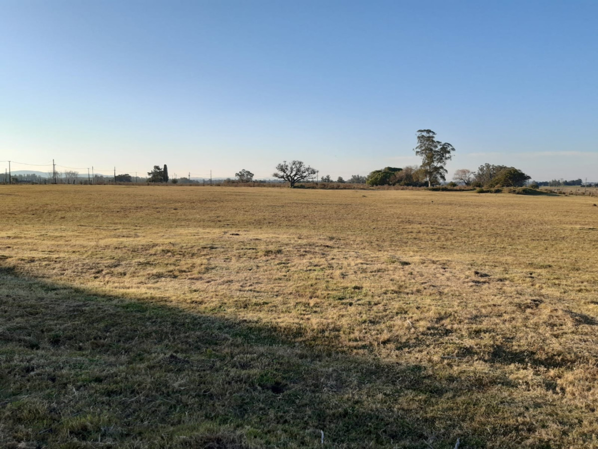 Chacra de 5HAS en venta pegado al Club de Tiro