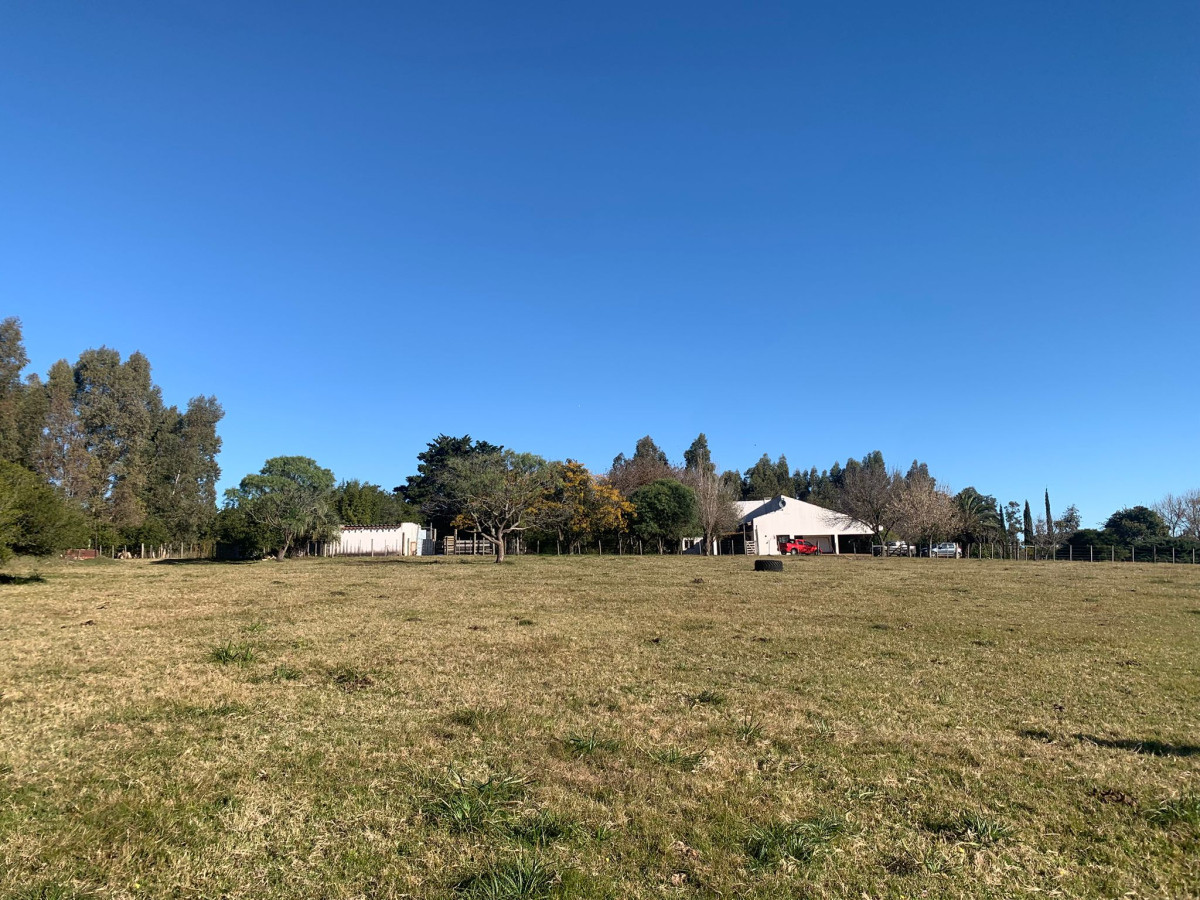 Chacra 5 has próxima a San Carlos