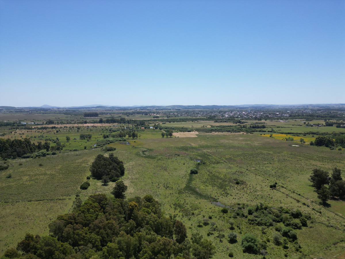 Campo 87 has Ideal para fraccionamiento de chacras