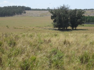 Lote en barrio cerrado Estancia Miramar en Camino Eguzquiza La Barra