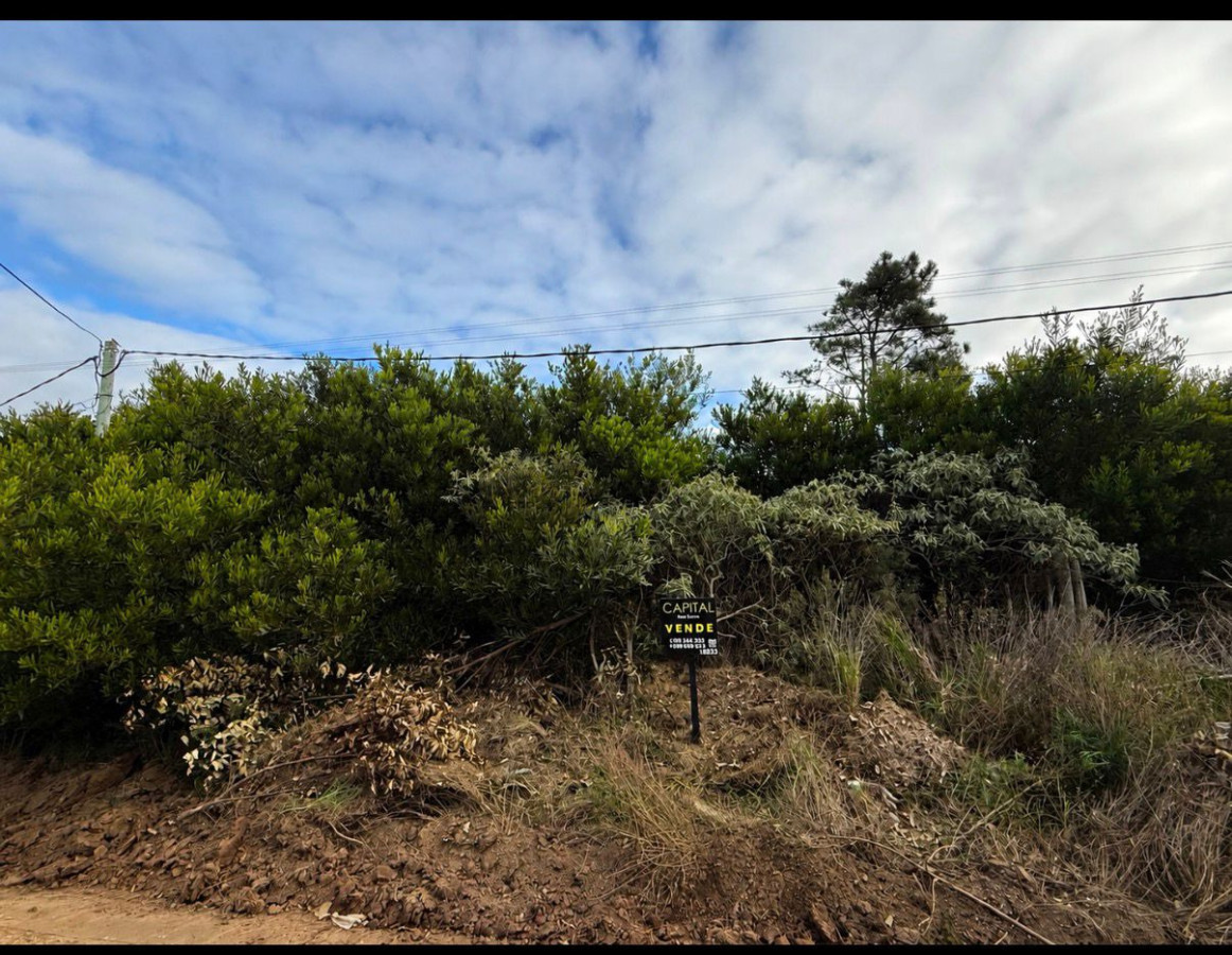 Lote en Altos de Punta Piedras