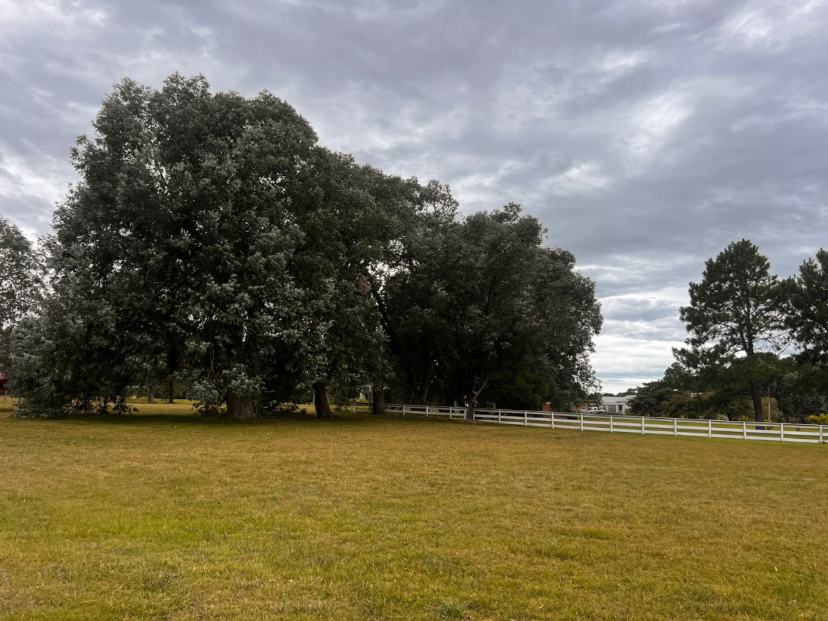 Terreno en Barrio cerrado de La Barra