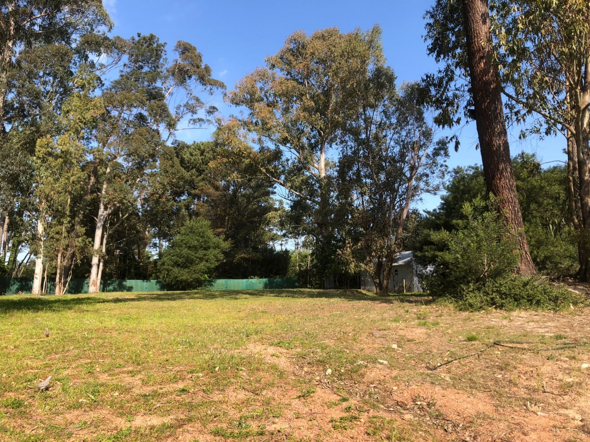 Lote en Barrio Privado, La Arbolada en Punta del Este