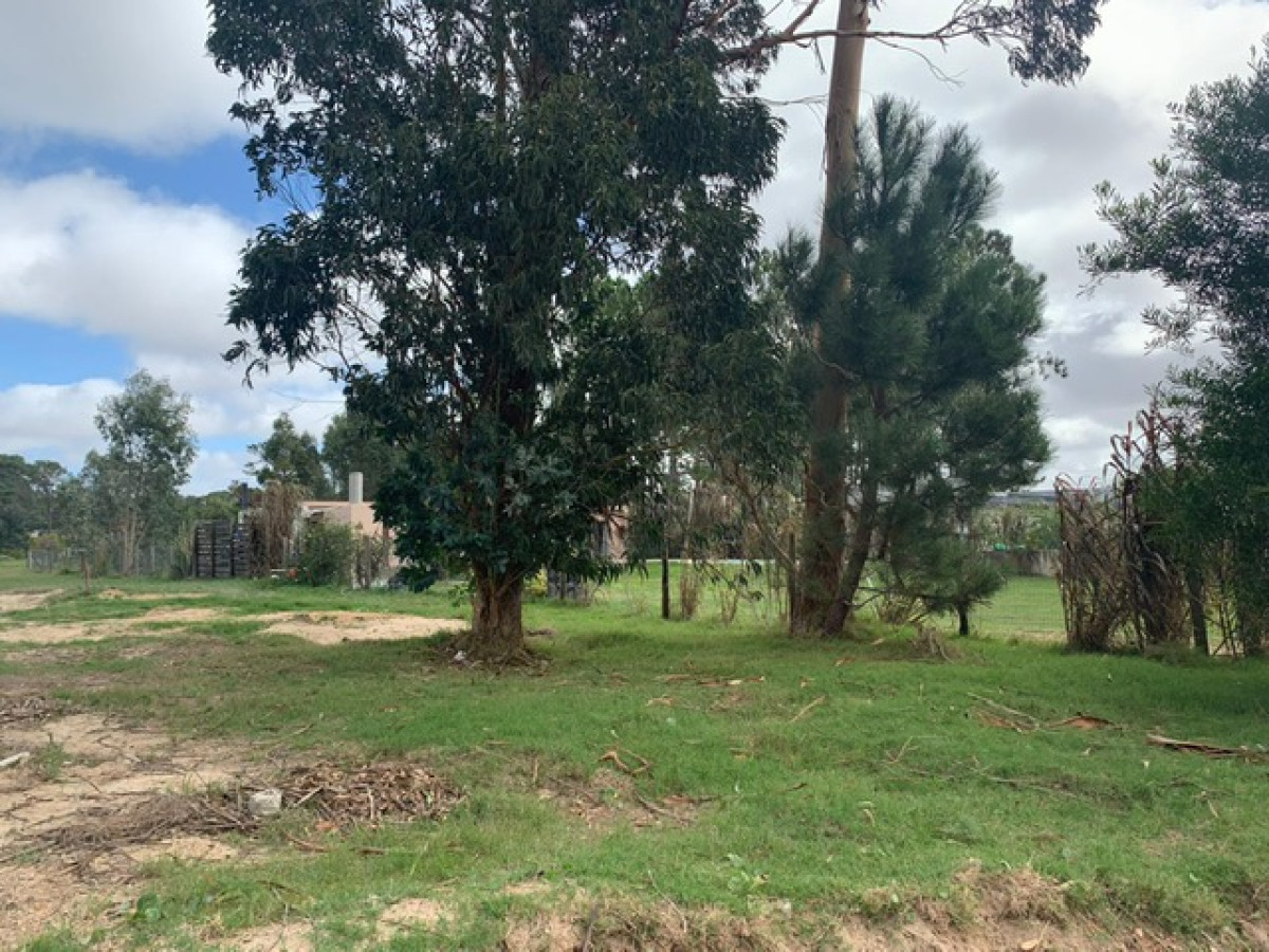 Lindo terreno de 772 m2 barrio Privado LA RESIDENCE, Punta del Este