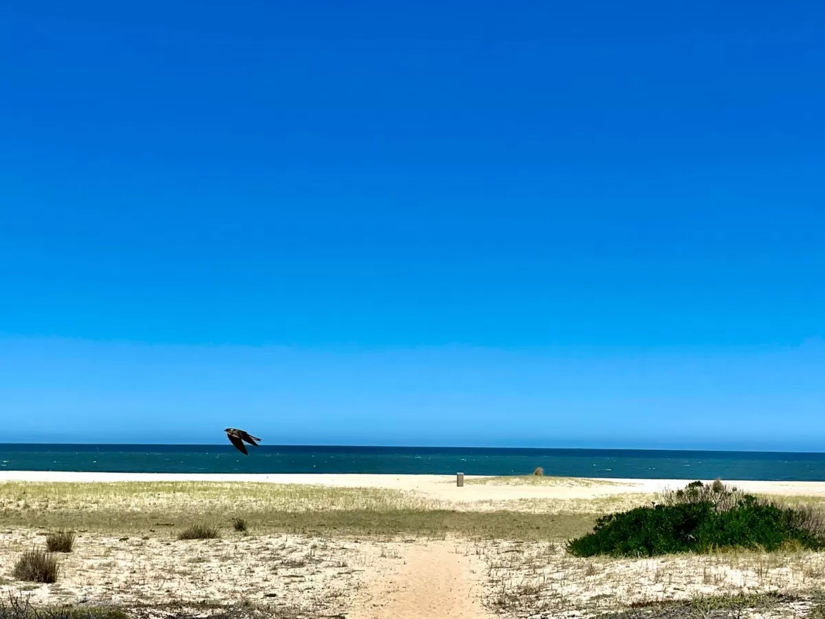 Lote Primera Linea Frente al Mar en Montoya, La Barra, Punta del Este, Ideal para Edificaciones e Inversores