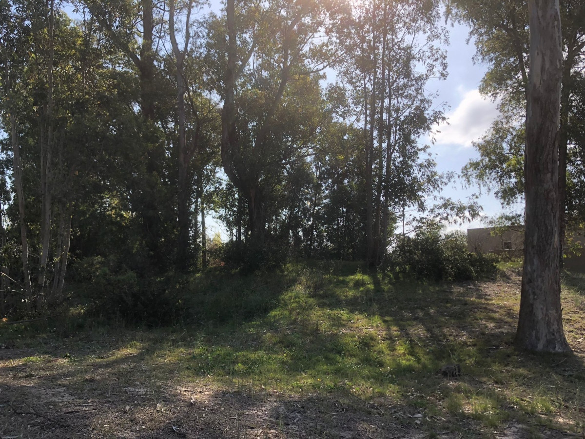 Lote en Barrio Privado La Arbolada, Punta del Este