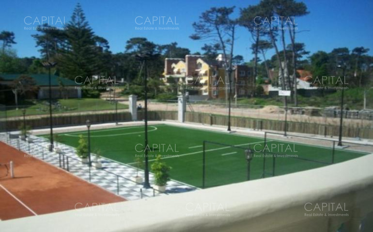 Le jardin, photo 5