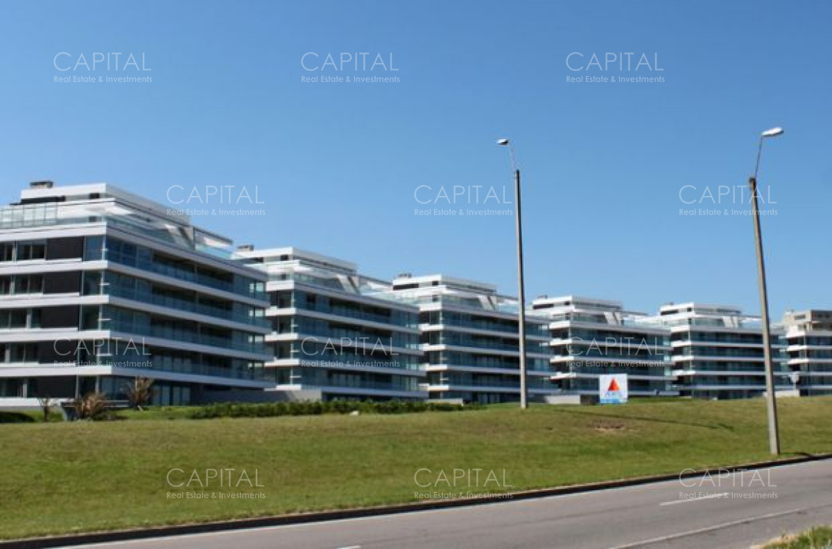 Tiburon terrazas, photo 1