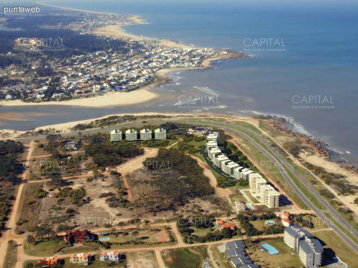 Tiburon terrazas, photo 3