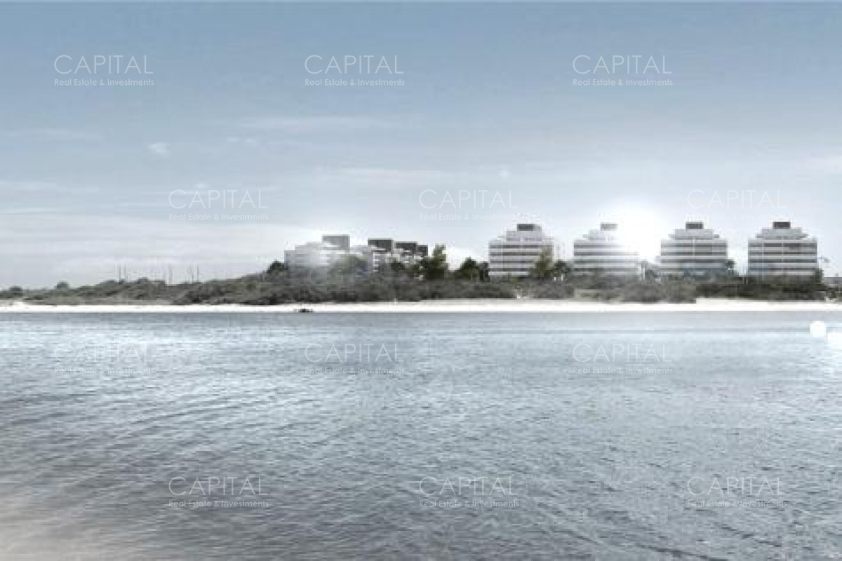 Tiburon terrazas, photo 4
