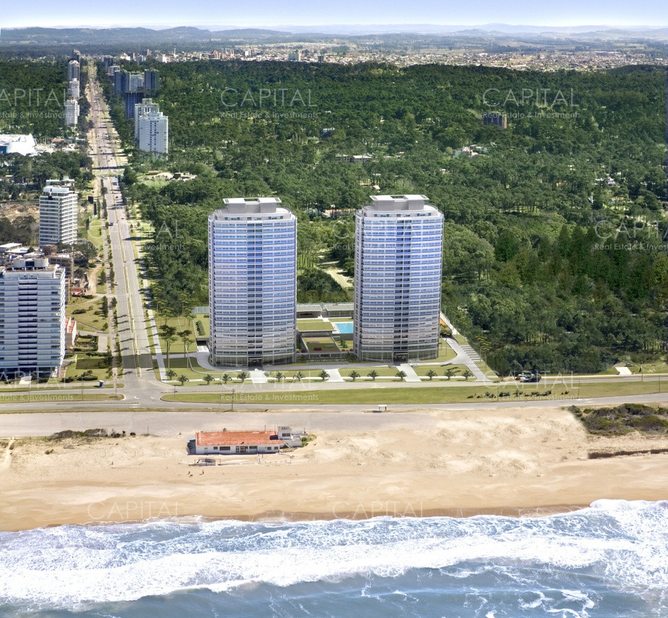 Le parc, photo 1