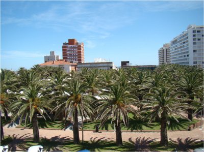 pleno centro peninsula con parrillero alquiler de verano