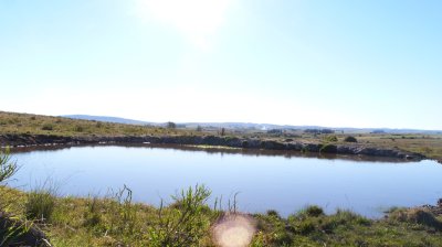 venta chacra por ruta 39 san carlos - rsp13598h