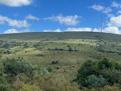 VENTA - Campito de 86 hectáreas en las Sierras