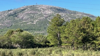 VENTA -Chacra de 12 hectáreas en Cerro Pan de Azucar
