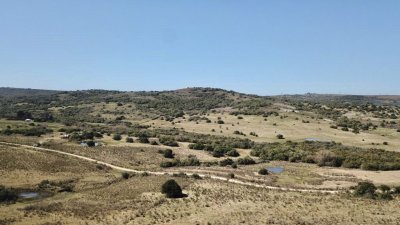 VENTA - Campito de 86 hectáreas en las Sierras