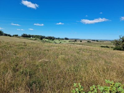 VENTA - 10 Hectáreas Los Ceibos - Maldonado