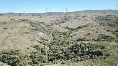 VENTA - Campito de 42 hectáreas en las Sierras