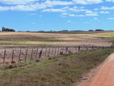 VENTA - Chacra 21 hectáreas Jose Ignacio