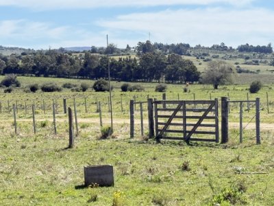 VENTA - 5 Hectáreas - Chacra en Pueblo Eden 