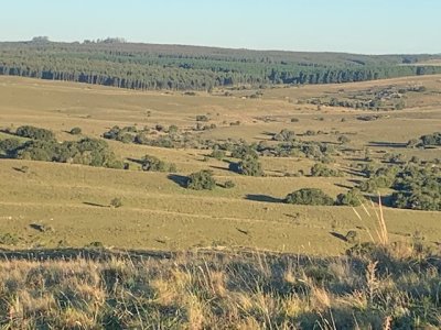 VENTA - 19 Hectáreas en Sierra de las Cañas